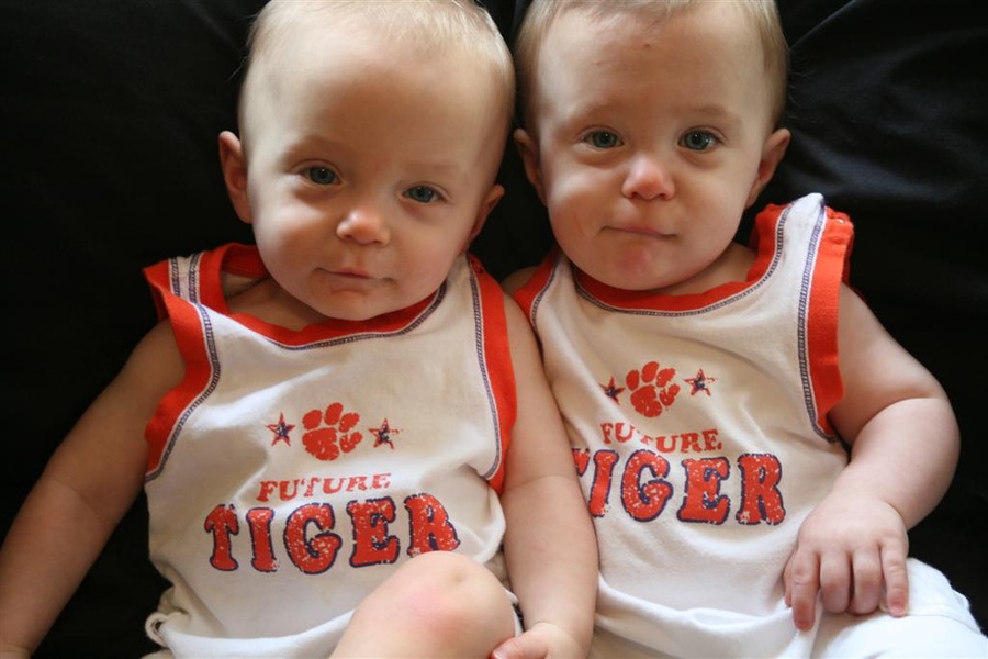 Go Tigers!