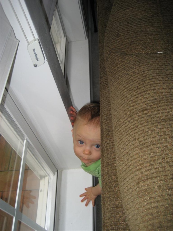 Bet you can’t find me!