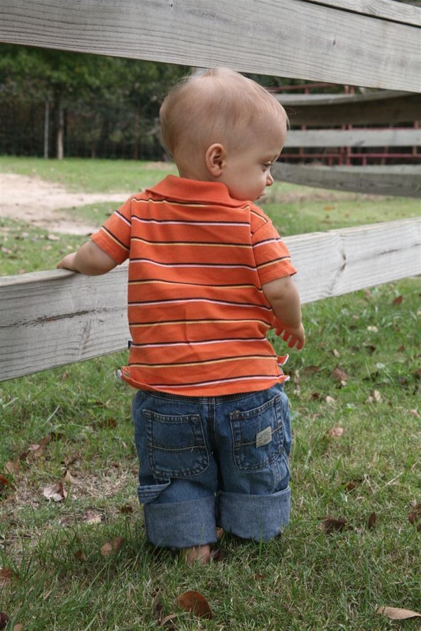 Will 1 year