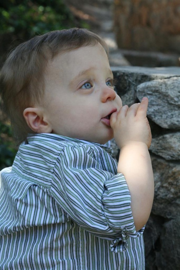Noah 1 year (2nd attempt)