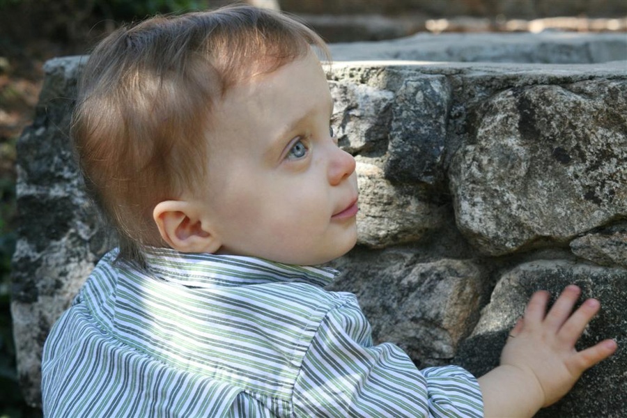 Noah