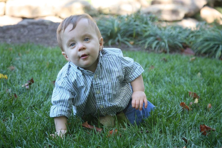Noah Park