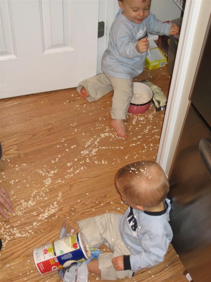 Oatmeal Fight…