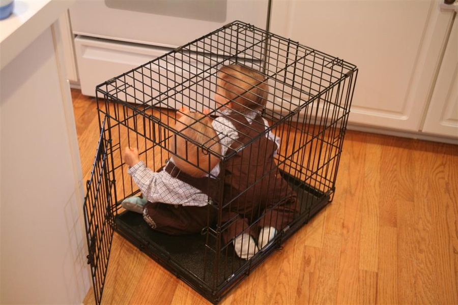 Don't call social services…