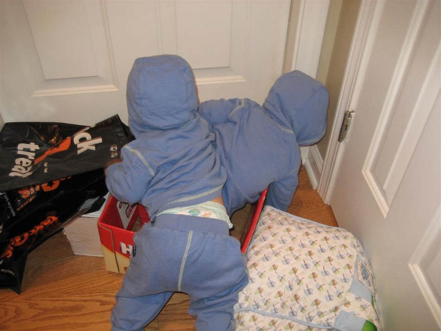 Blue Ninjas