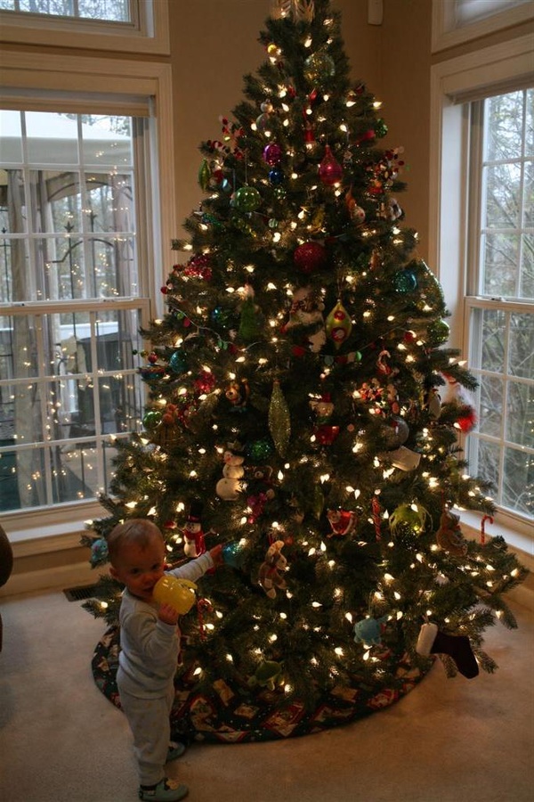 Oh Christmas Tree…