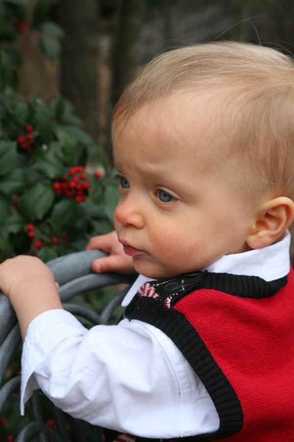 Christmas pictures