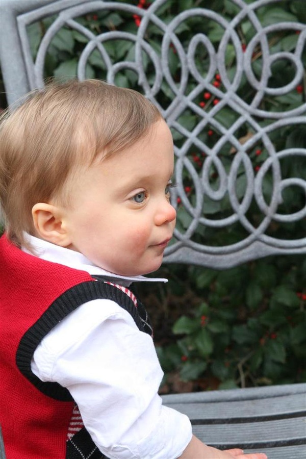 Christmas pictures