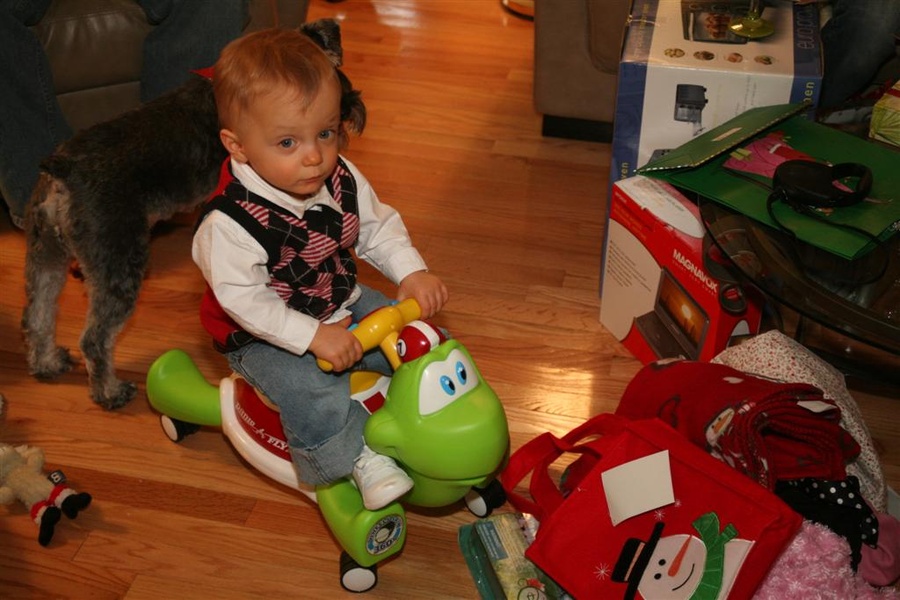 Christmas Turtle