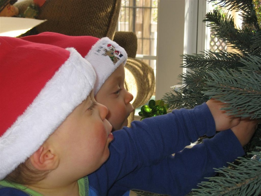 Oh Christmas Tree…