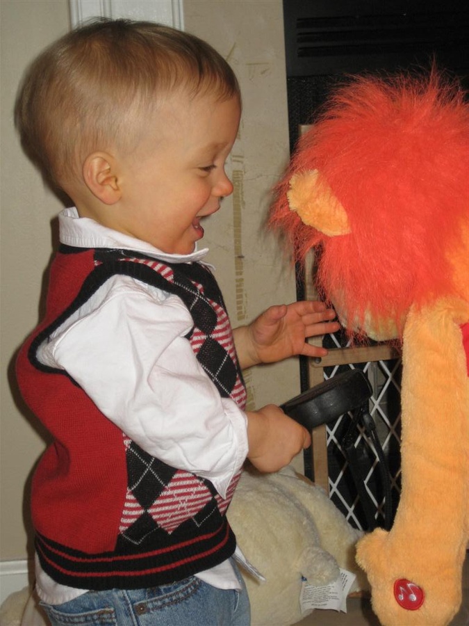 Birthday Lion