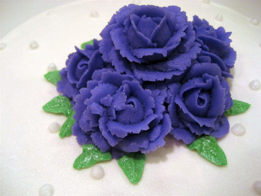 Closeup of the roses