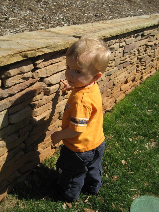 Will at the park