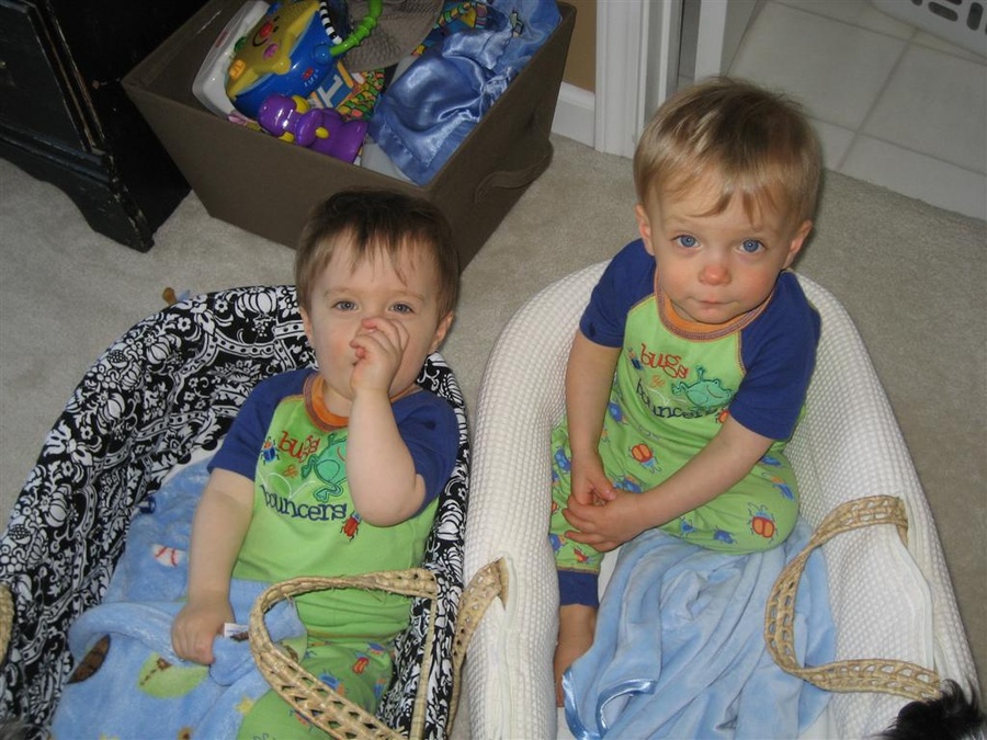 Moses Baskets