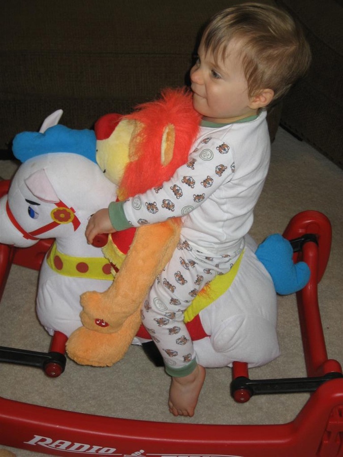 Ride'em Cowboy