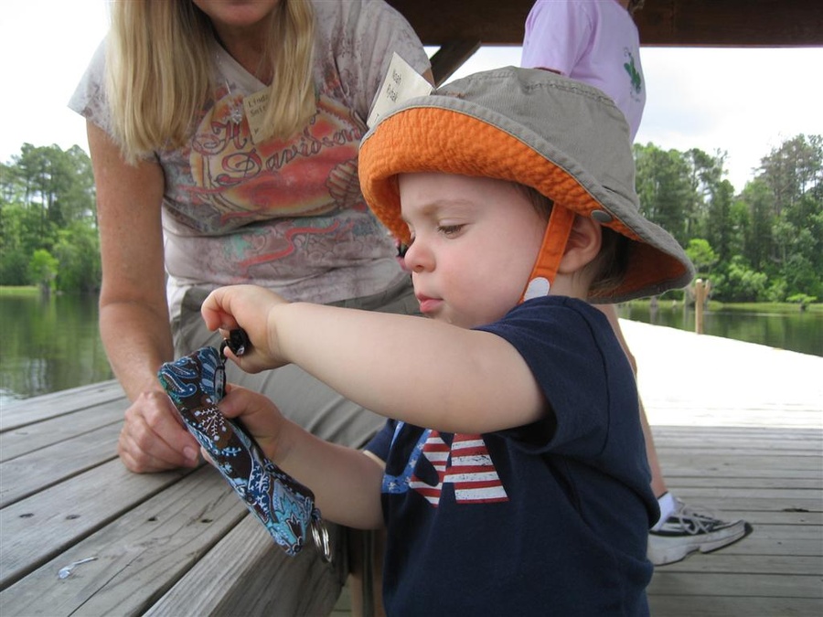 Little Tim