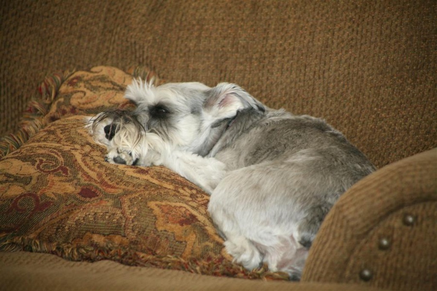 Maggie Lou