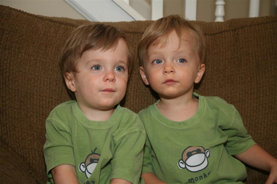2 little monkeys…