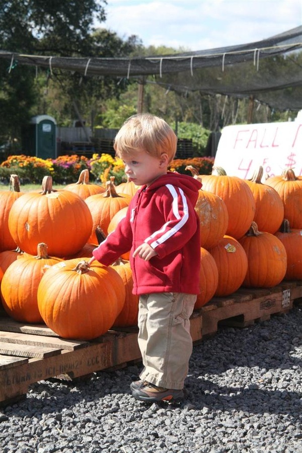 Fall Fun