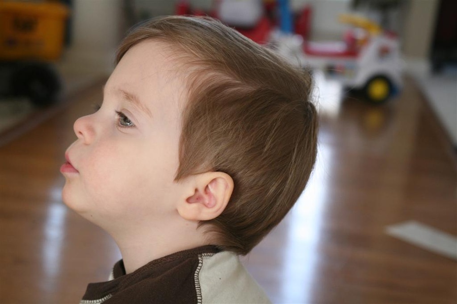 Noah – February '10