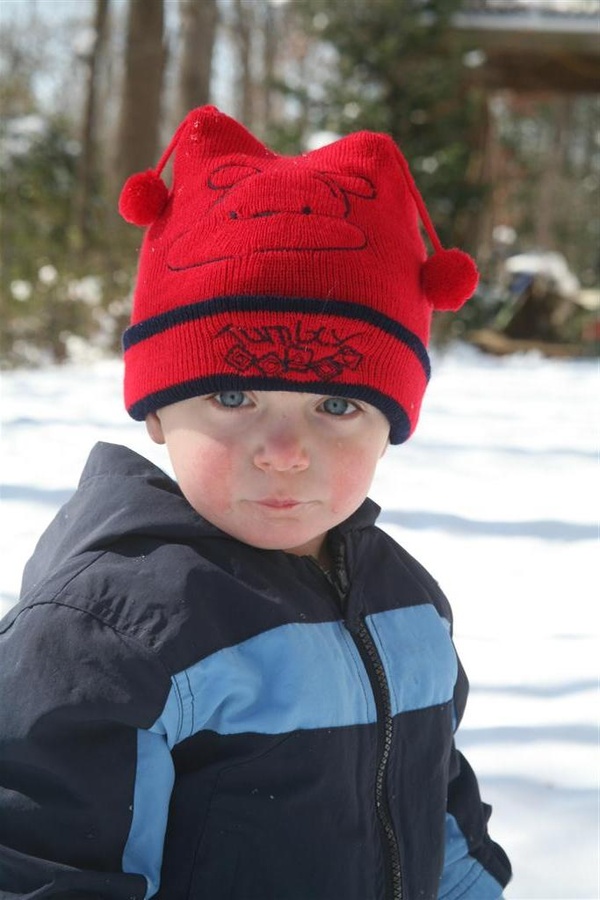 February Snow
