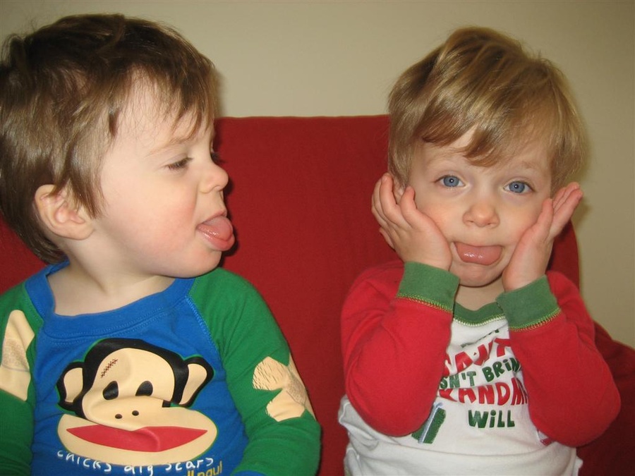 Silly Monkeys!!