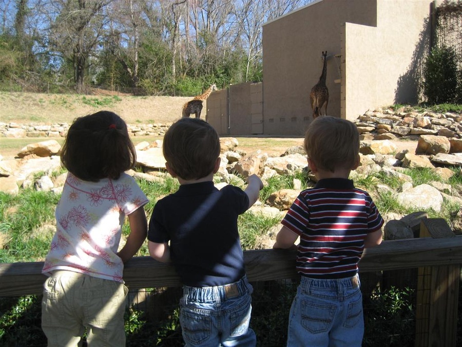 greenville zoo