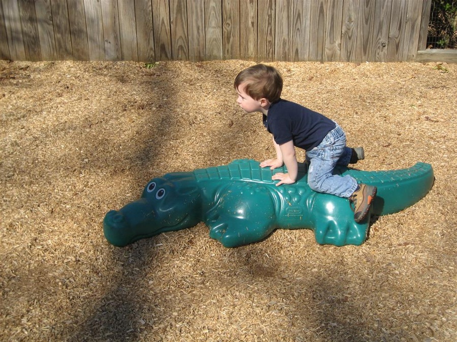 Greenville Zoo 2