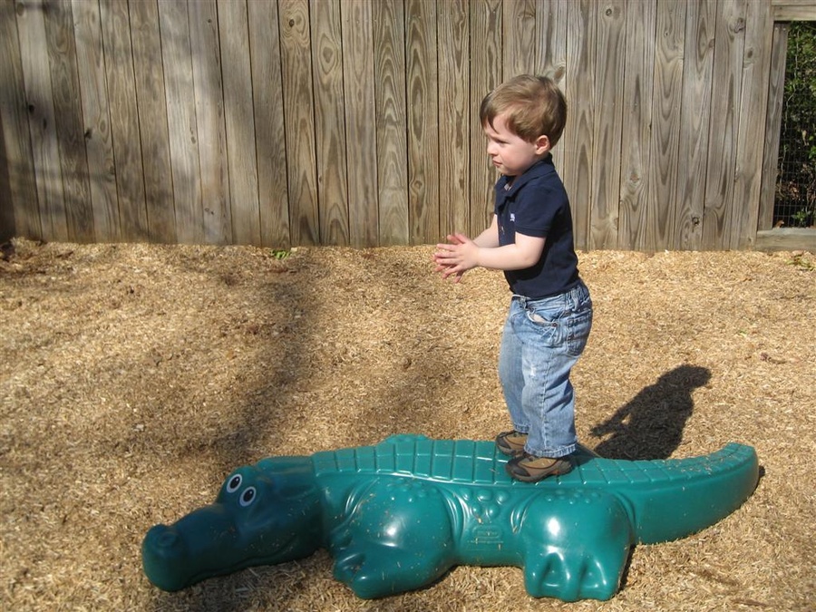Greenville Zoo 3