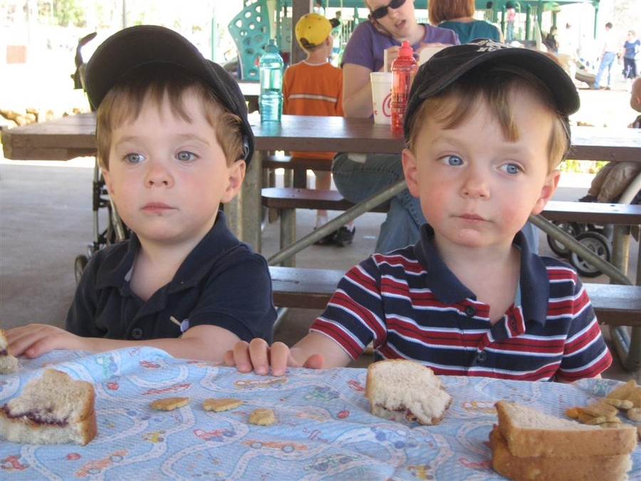 Greenville Zoo