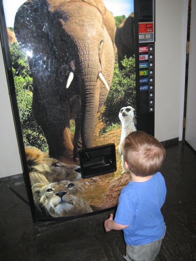 Elephant!!