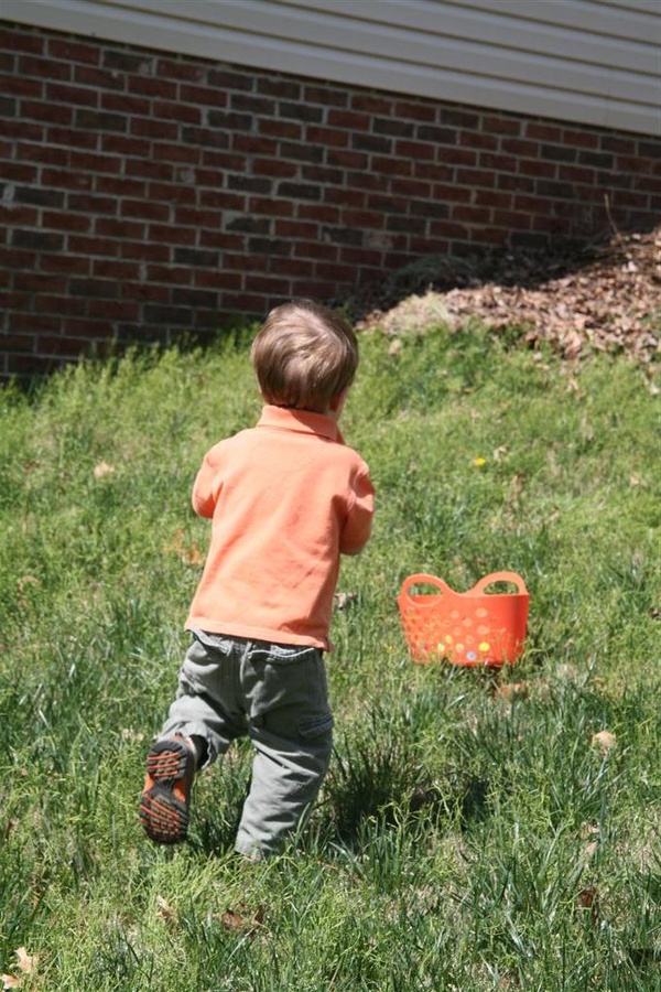 Egg Hunt