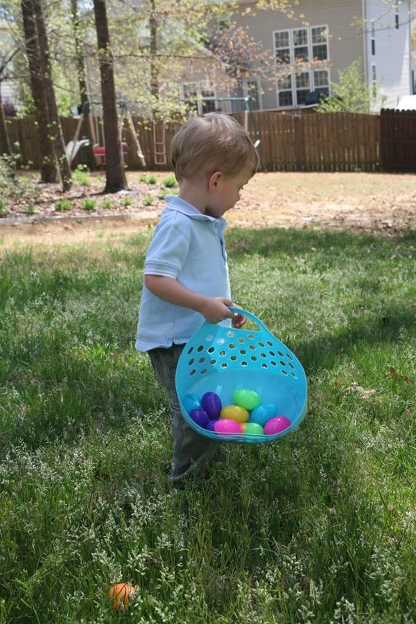 Lots of Eggs!