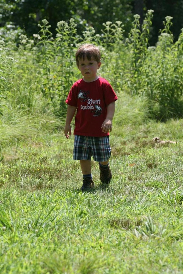 July 2010